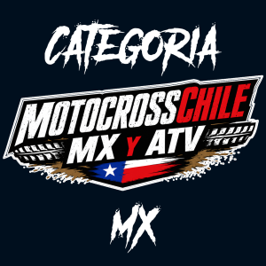 categorías 2 ruedas